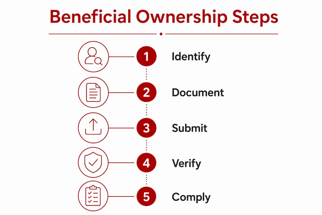 Infographic showing beneficial ownership registration steps